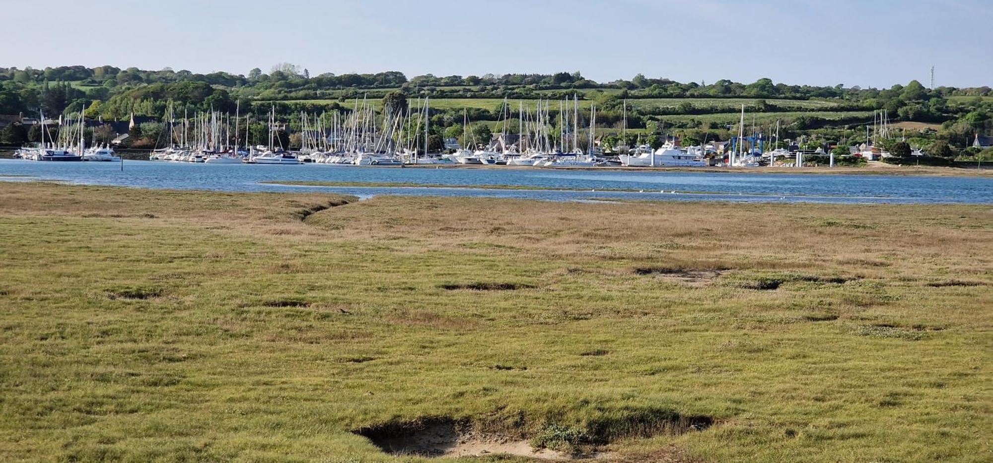 Saint-Maurice-en-Cotentin Le Dy En Fleursヴィラ エクステリア 写真